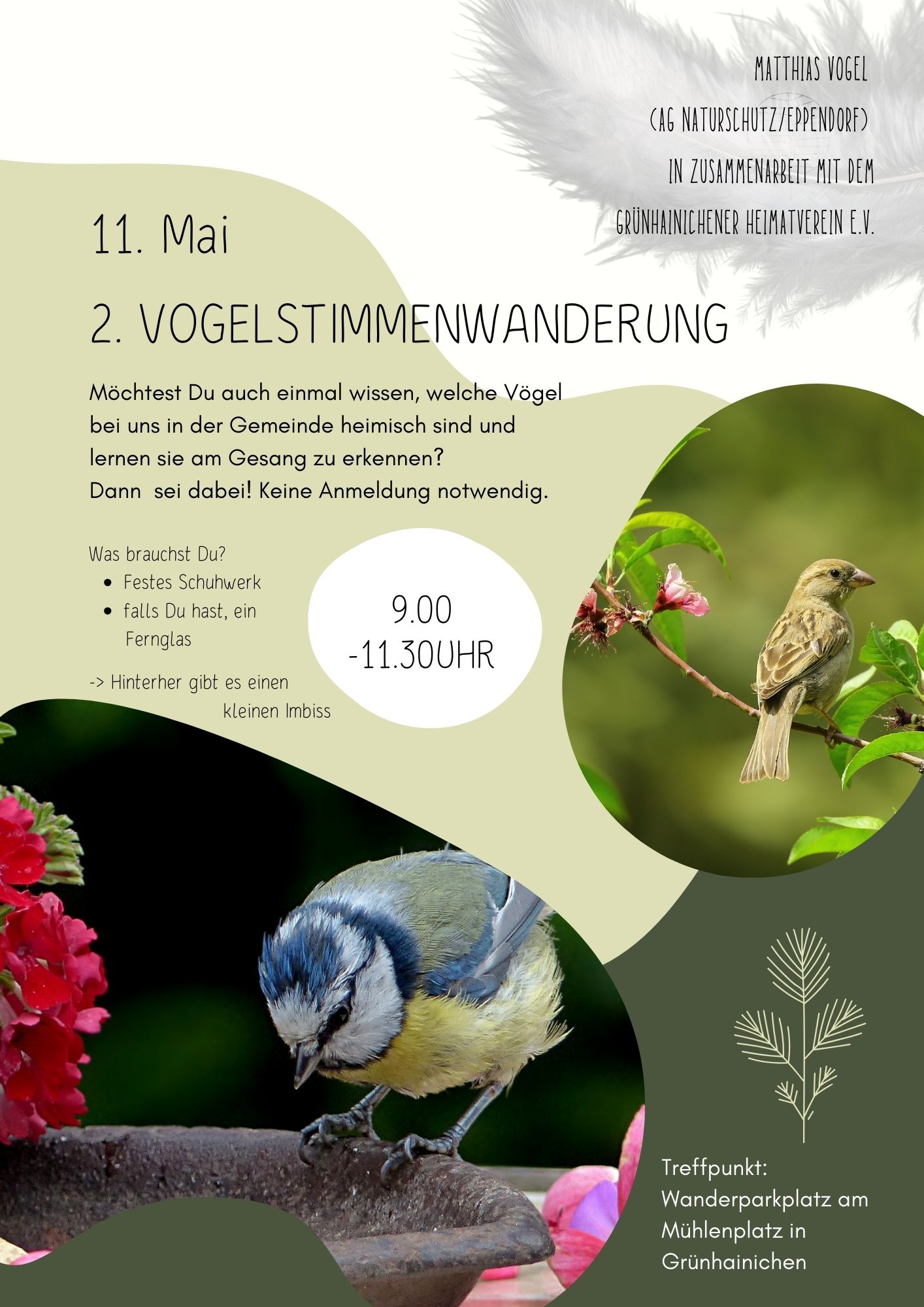 Vogelstimmenwanderung am 11.05.2025