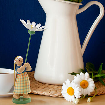 Natur-Workshop "Margerite als Heilpflanze"